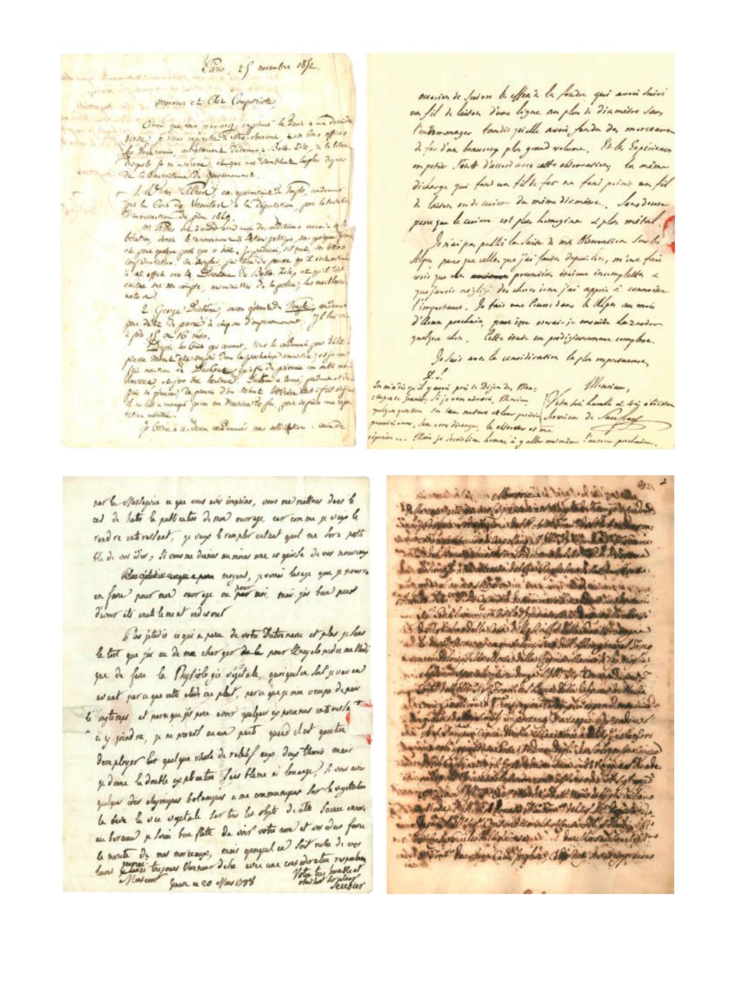 Page Background